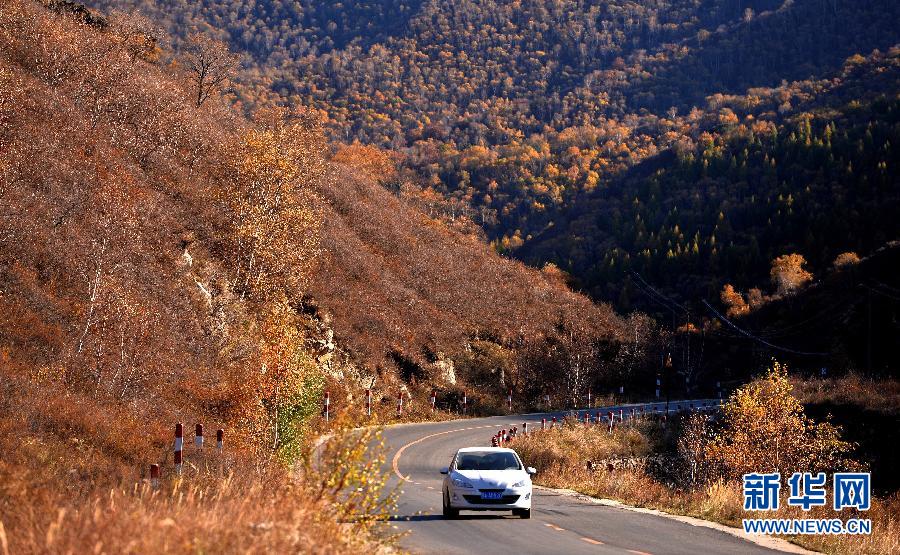 (美丽中国)(2)大青山之秋