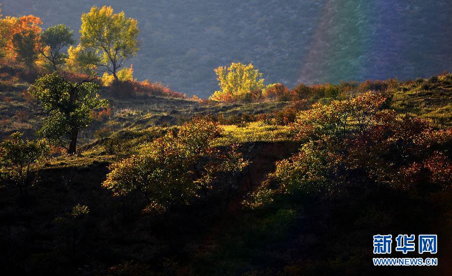 (美丽中国)(5)大青山之秋