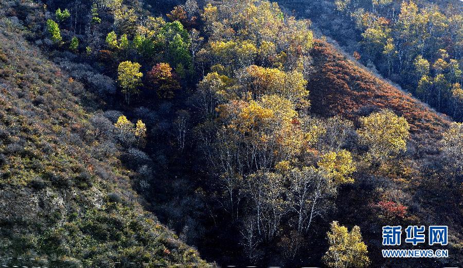 （美丽中国）（6）大青山之秋