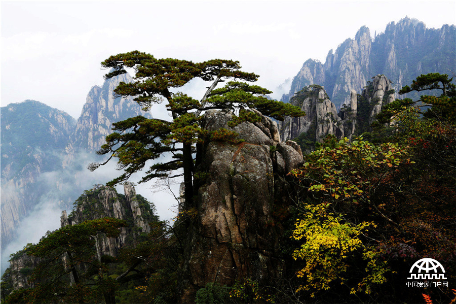 金秋黄山胜春潮