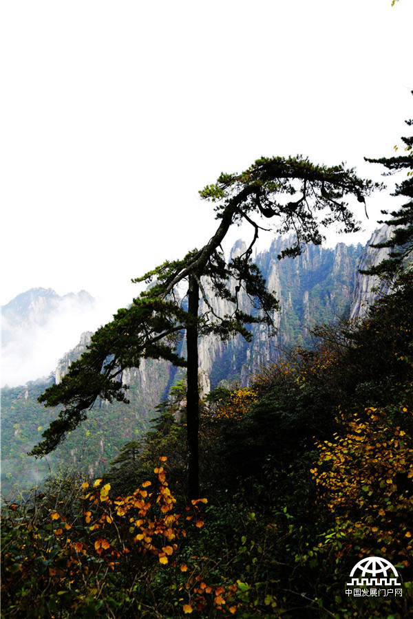 金秋黄山胜春潮