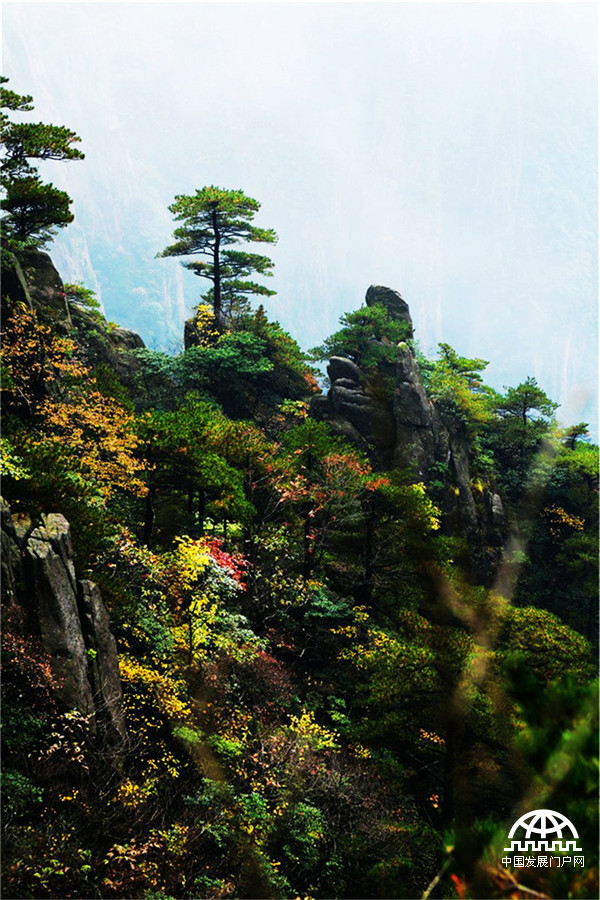 金秋黄山胜春潮