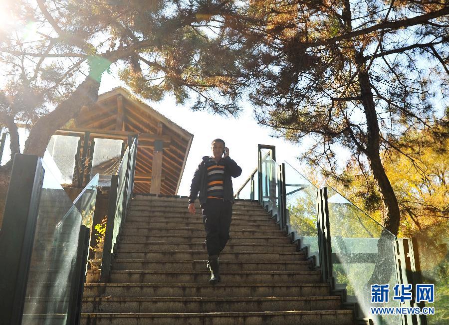 （图片故事）（1）与猛兽为伍