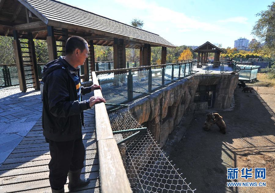 （图片故事）（2）与猛兽为伍