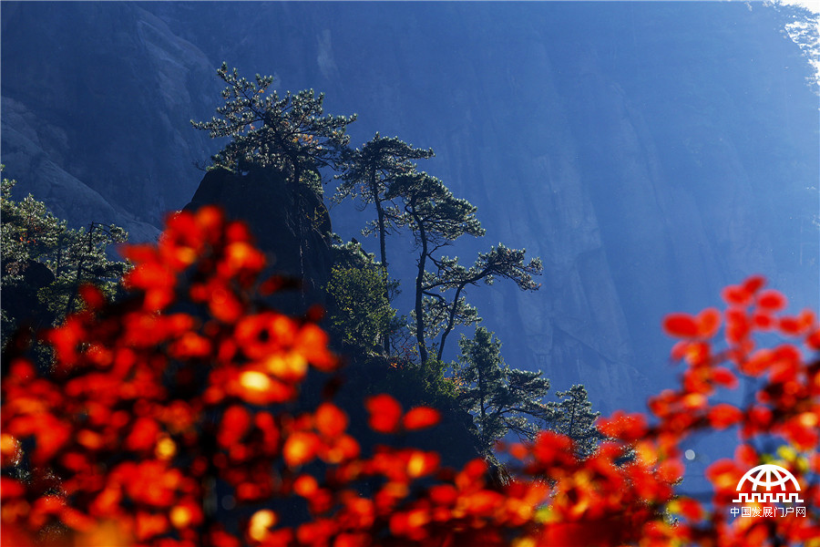 黄山西海大峡谷红叶正浓时