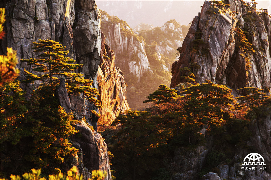 梦幻黄山 云在峰石间“起舞”