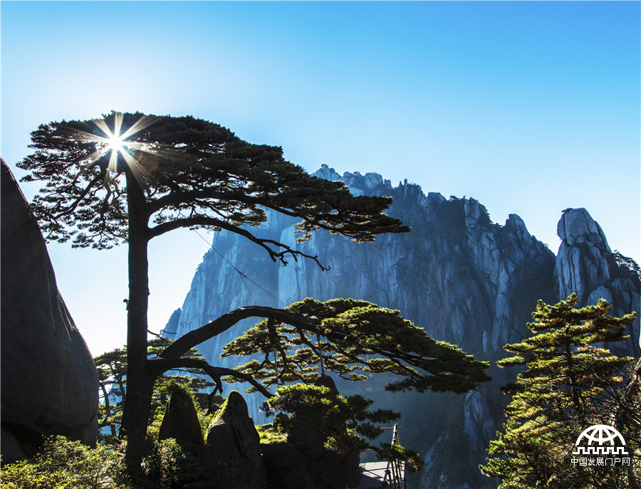 梦幻黄山 云在峰石间“起舞”