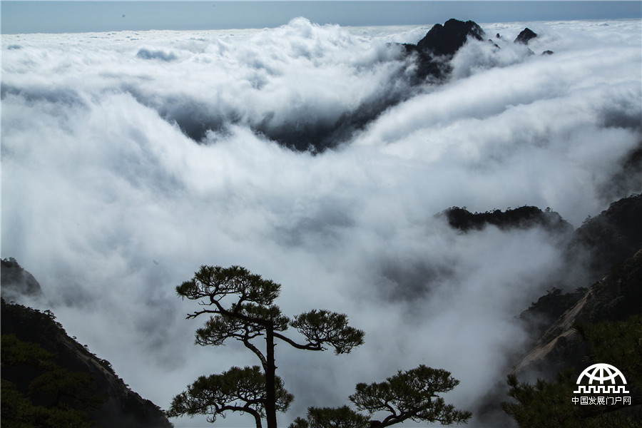 美哉 看云就去黄山天都峰