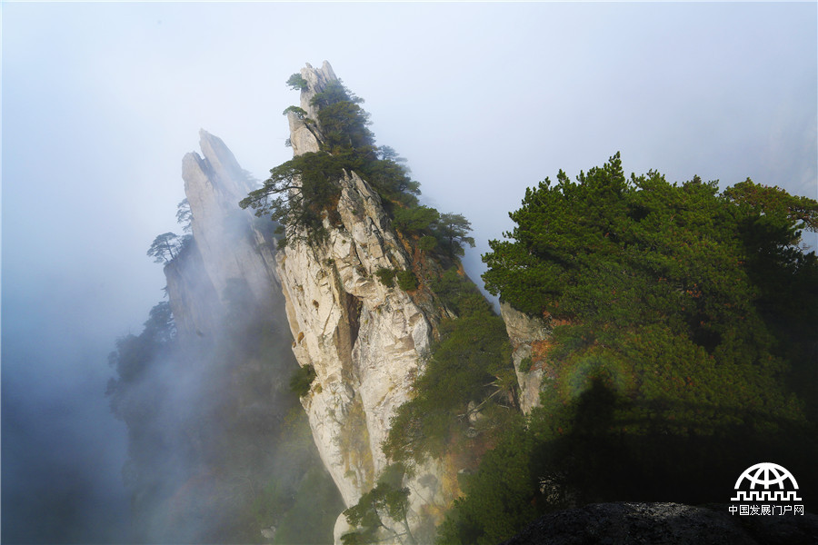 黄山惊现瑰丽的云海和佛光美景 黄山惊现瑰丽的云海和佛光美景