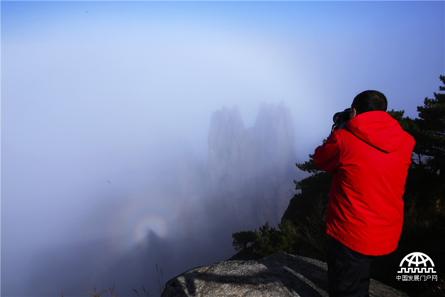 黄山惊现瑰丽的云海和佛光美景 黄山惊现瑰丽的云海和佛光美景