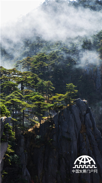 黄山惊现瑰丽的云海和佛光美景 黄山惊现瑰丽的云海和佛光美景