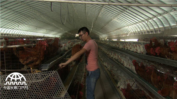 25岁小伙靠不吃的鸡蛋发财