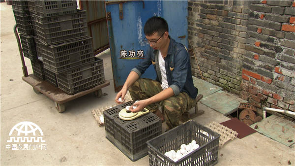 25岁小伙靠不吃的鸡蛋发财