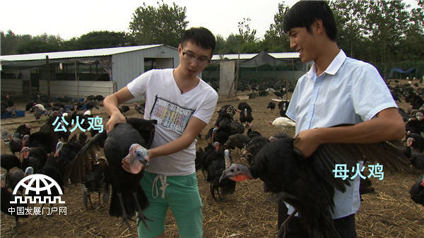 25岁小伙靠不吃的鸡蛋发财