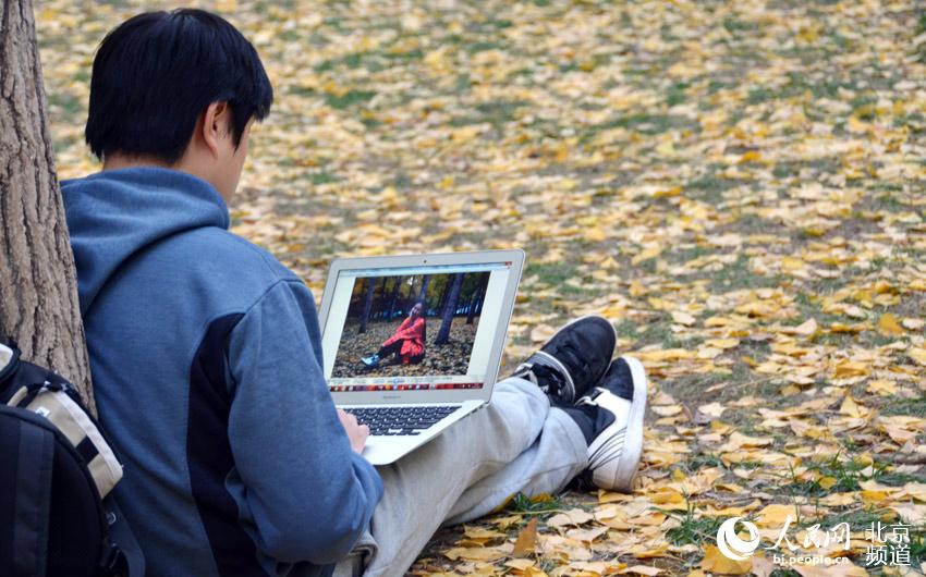 奥林匹克森林公园银杏林中的游人。人民网尹星云 摄