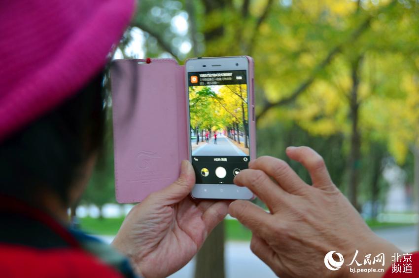 地坛公园银杏大道上一位市民正在用手机拍照。人民网尹星云 摄