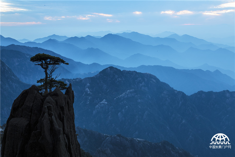 黄山 看上帝赐于的巨大盆景