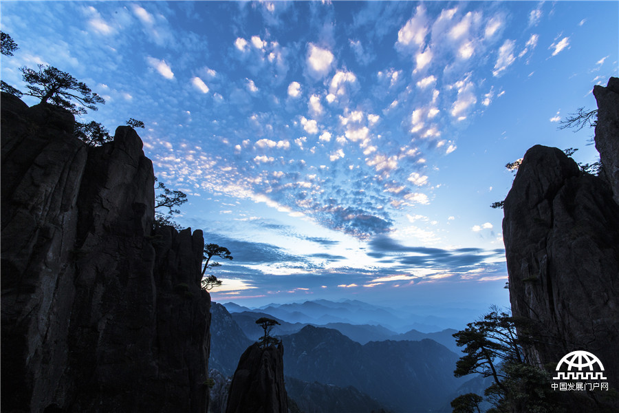 黄山 看上帝赐于的巨大盆景