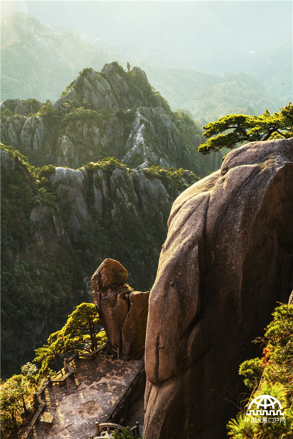 黄山 看上帝赐于的巨大盆景