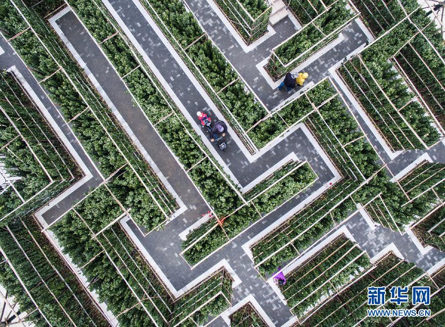 #（社会）（3）天津首家消防主题公园开放