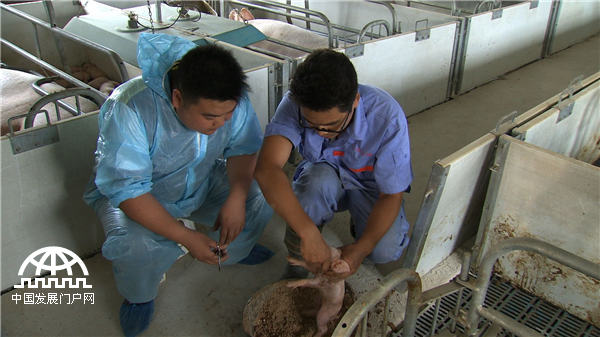 致富经：岳父送来90万元之后