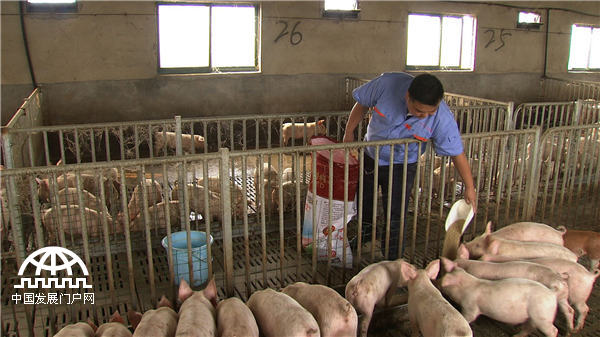 致富经：岳父送来90万元之后