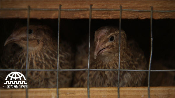 致富经：岳父送来90万元之后