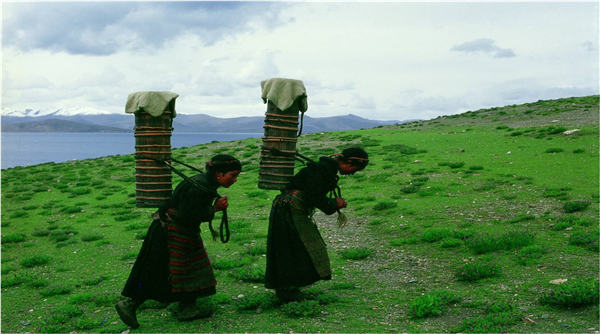 人类活动对西藏高原系环境有正负两方面影响