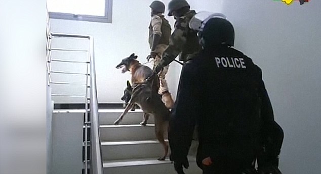 马里遭劫持人质逃生及遇袭酒店细节曝光