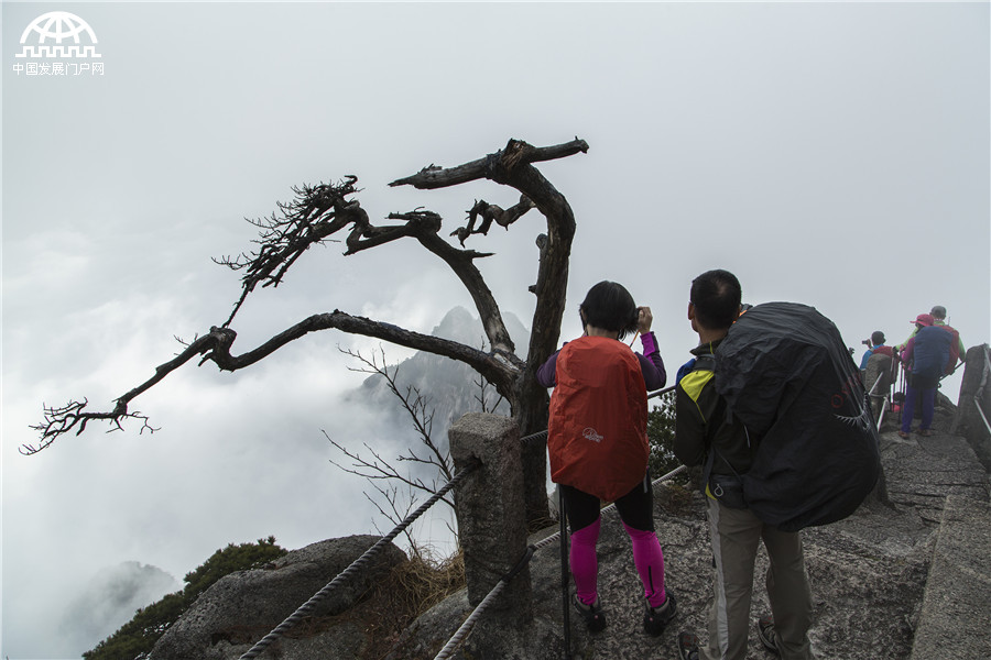 冬日黄山 云腾雾绕千峰秀