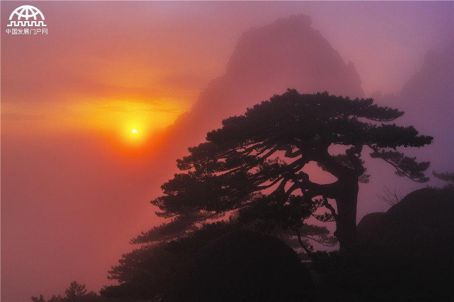 冬日黄山 云腾雾绕千峰秀 冬日黄山 云腾雾绕千峰秀