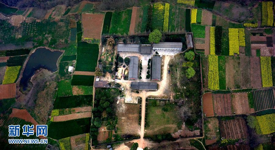 （文化）（3）考古确认陕西龙岗寺遗址100万年前就有人类活动 