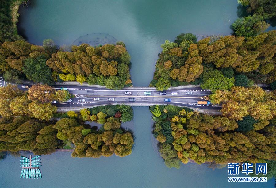 （美丽中国）（1）寒潮来袭 杭州西湖开启最美“七彩深秋”