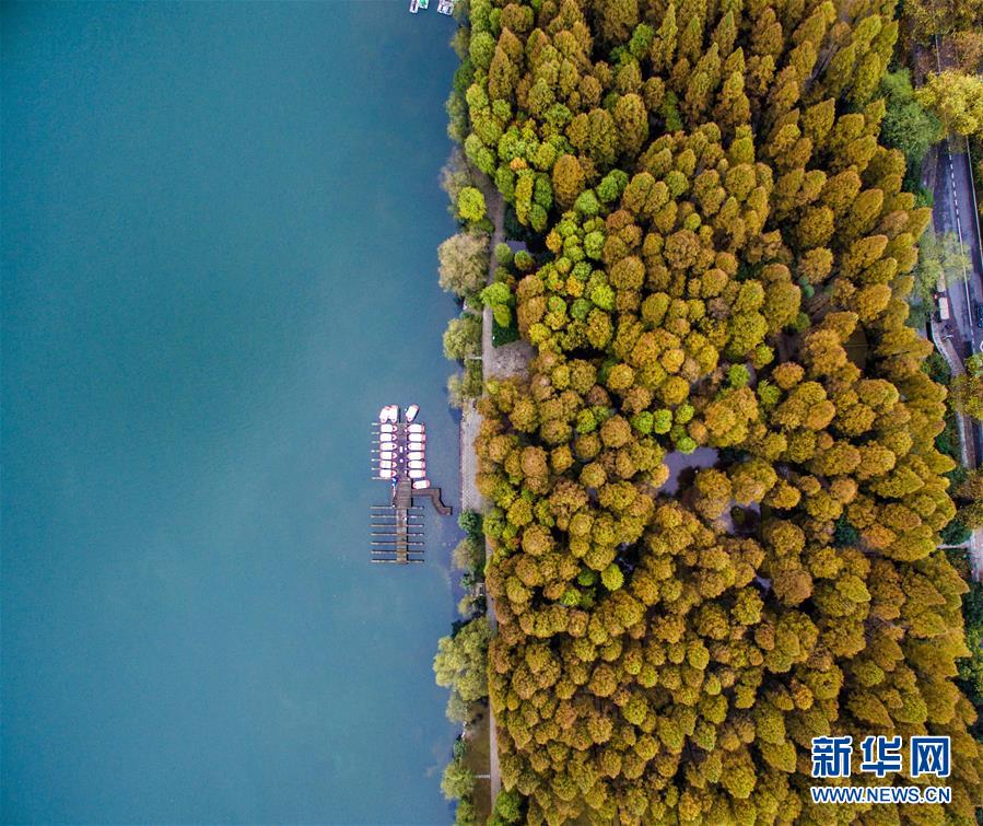 （美丽中国）（2）寒潮来袭 杭州西湖开启最美“七彩深秋”