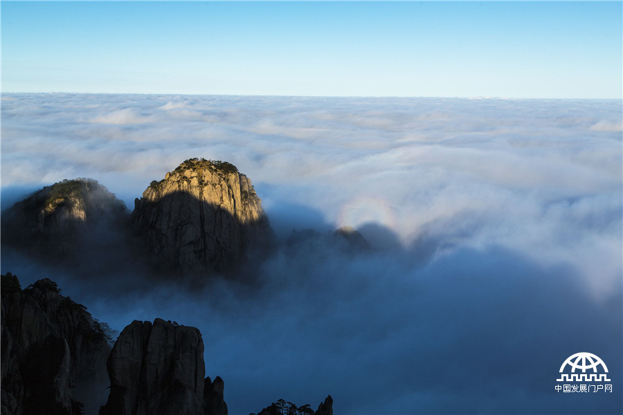 雨后黄山：云铺深谷 排山倒海