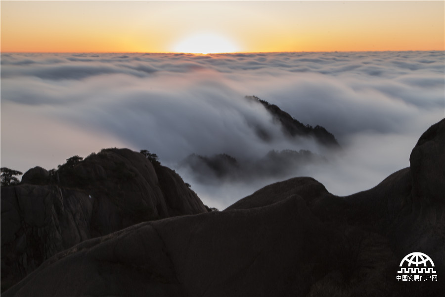 雨后黄山：云铺深谷 排山倒海