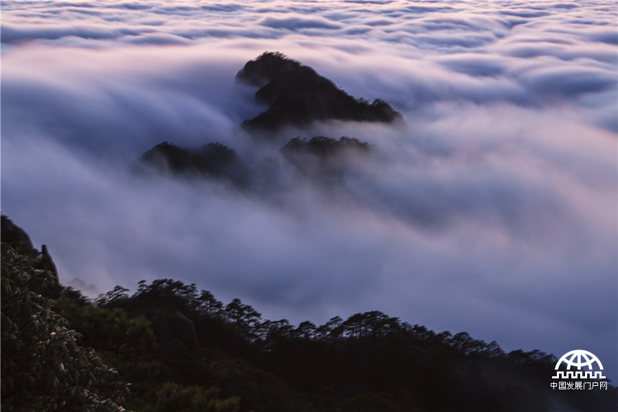 雨后黄山：云铺深谷 排山倒海