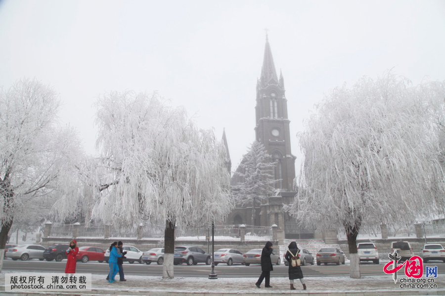 大雪日:吉林市区迎来大面积高质量长时间雾凇