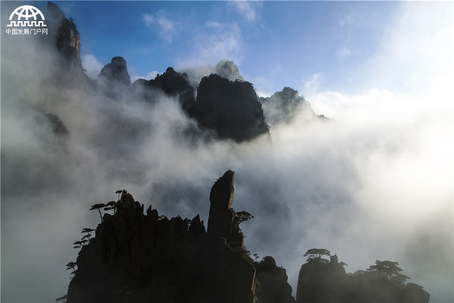 黄山：步入西海大峡谷 迷失云涛雾浪中