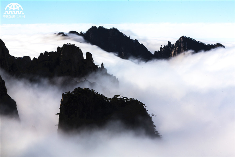 黄山：步入西海大峡谷 迷失云涛雾浪中