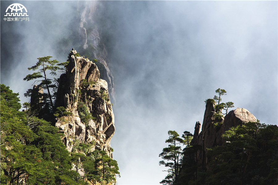 黄山：步入西海大峡谷 迷失云涛雾浪中