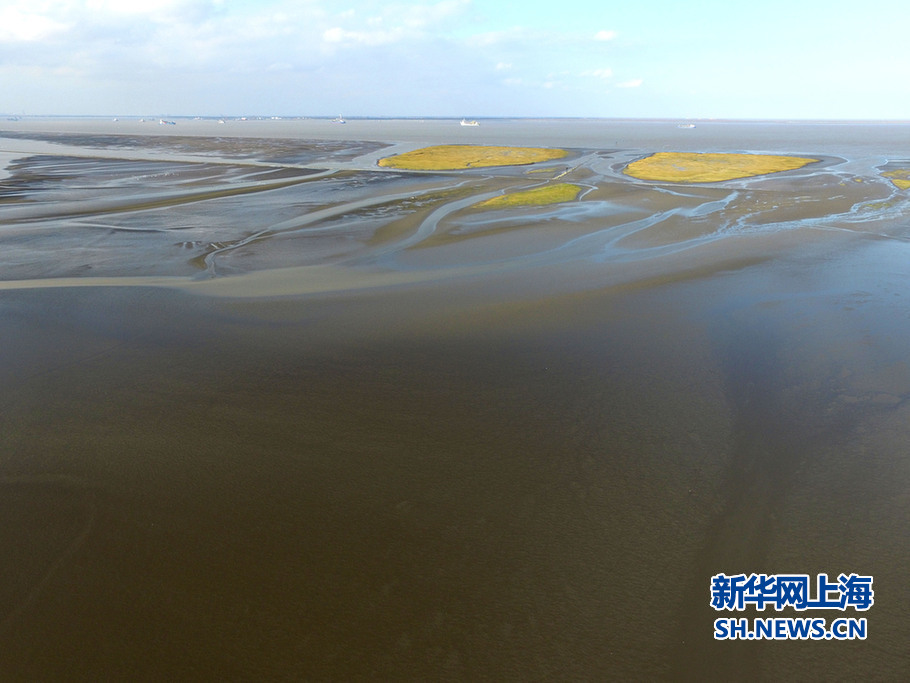 航拍九段沙湿地:上海最后一块处女地