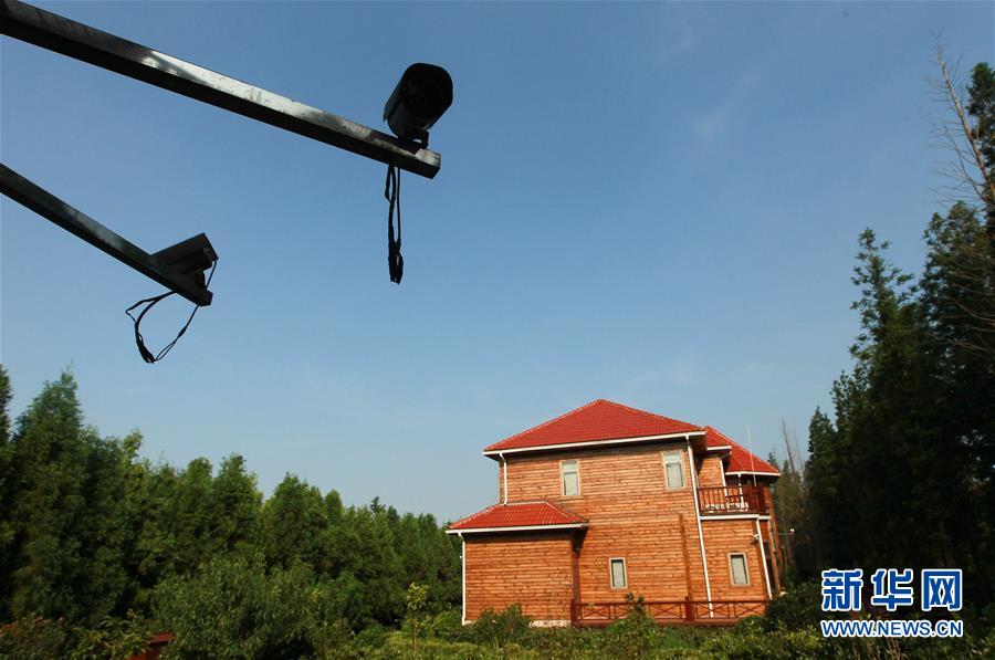 (图文互动)(1)十余年“禁墅令”下各地别墅为何越来越多