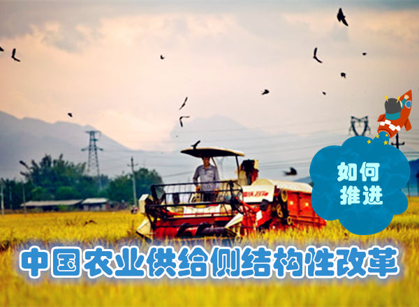 如何推进中国农业供给侧结构性改革_中国发展