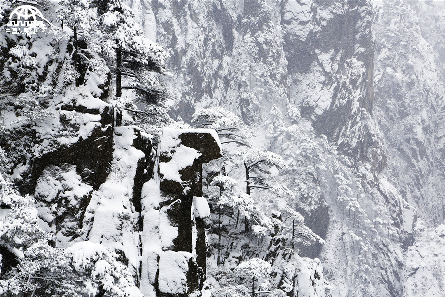 黄山迎来入冬最强降雪 积雪深度18厘米