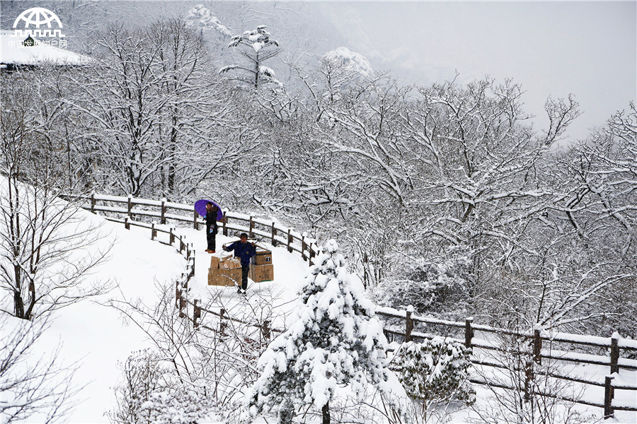 黄山迎来入冬最强降雪 积雪深度18厘米