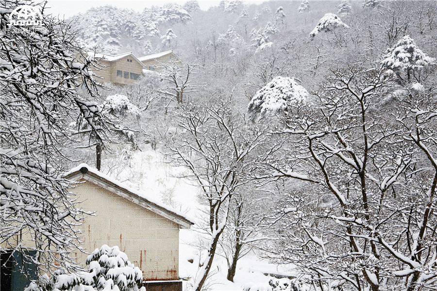 黄山迎来入冬最强降雪 积雪深度18厘米
