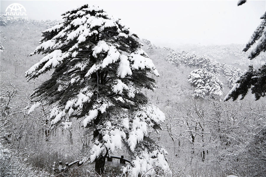 黄山迎来入冬最强降雪 积雪深度18厘米