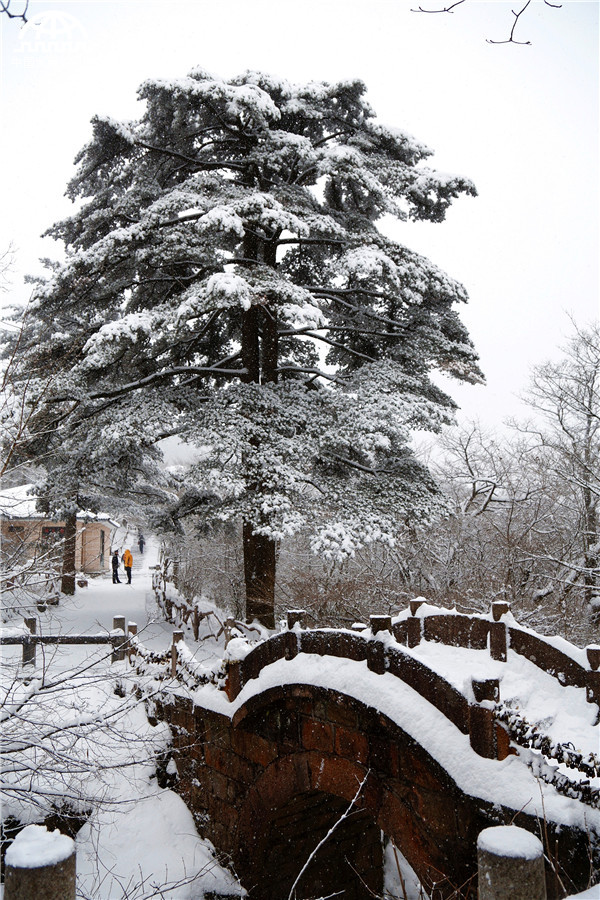 黄山迎来入冬最强降雪 积雪深度18厘米