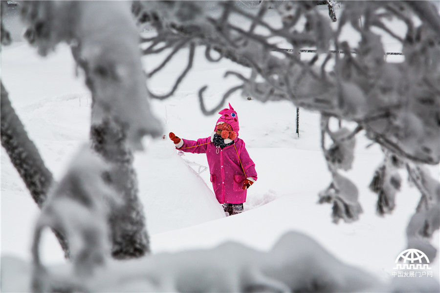 暖阳白雪 黄山冬雪美景让游客大开眼界【组图】